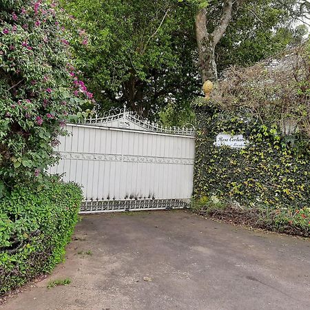 São GabrielRosa Cortiana Escalera公寓 外观 照片