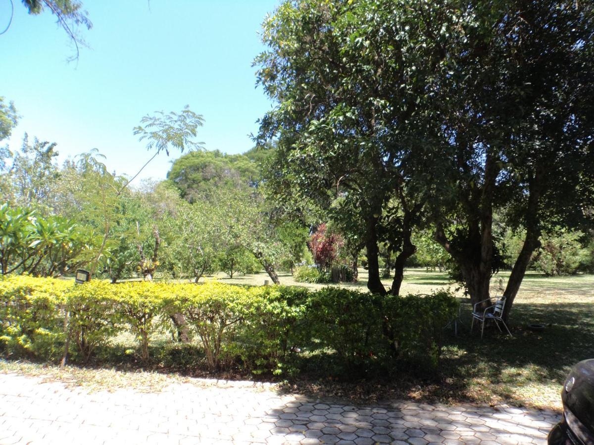 São GabrielRosa Cortiana Escalera公寓 外观 照片