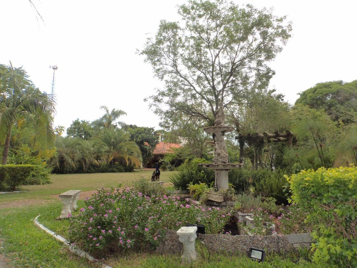 São GabrielRosa Cortiana Escalera公寓 外观 照片